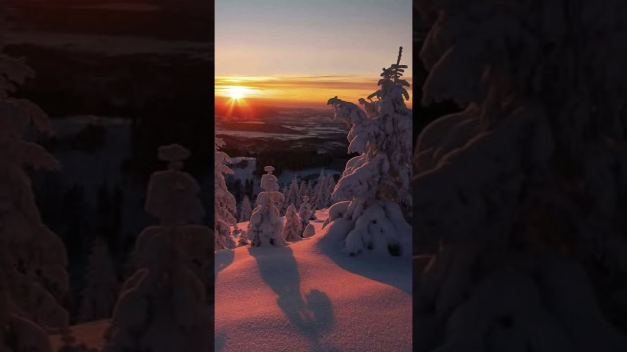 зимові Карпати #природа #гори #nature #travel