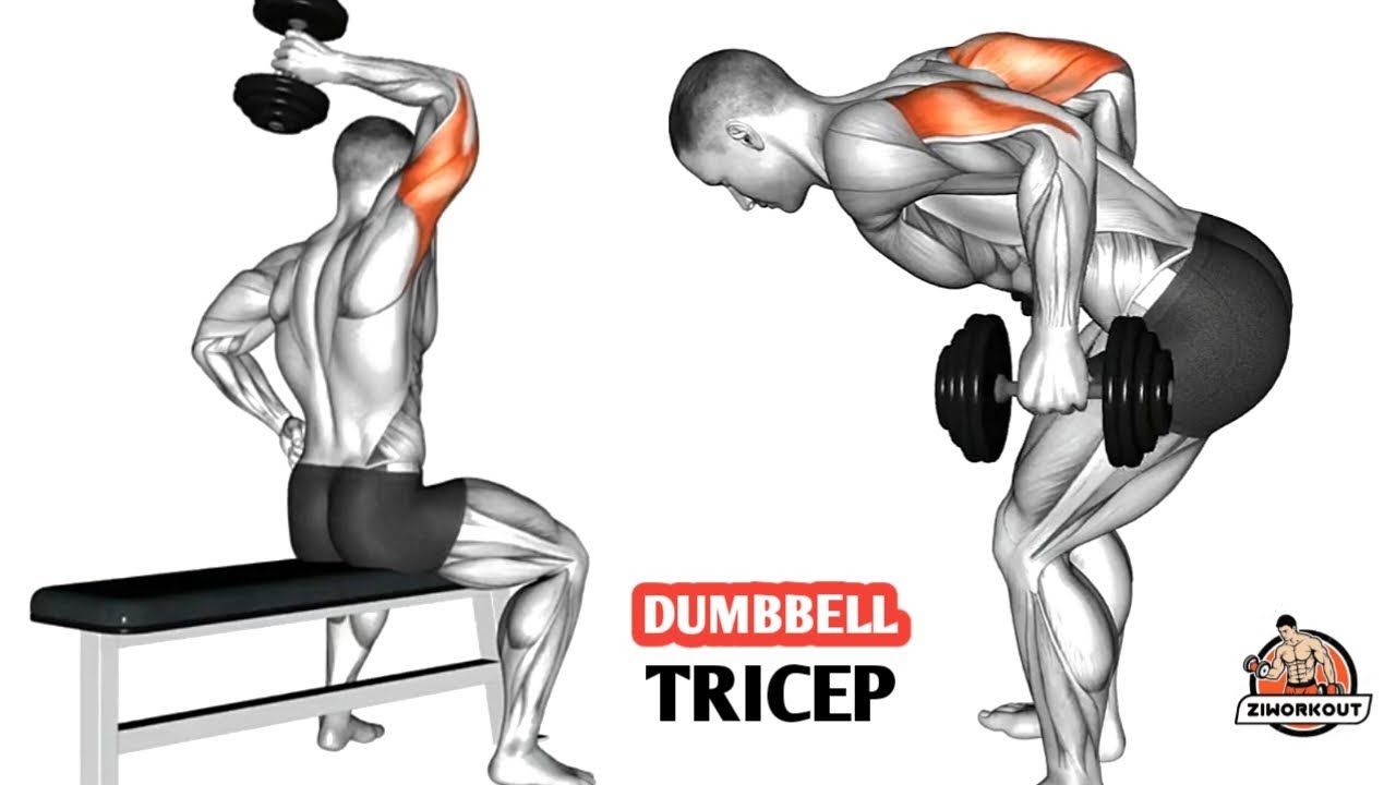 Grow Huge Triceps Fast 💥 Dumbbell Triceps Workout