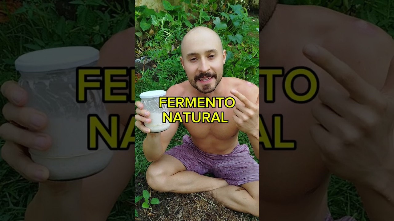 Como fazer fermento natural (levain) 🌱🫶🏻💚 #levain #p&atilde;o #pizza #sourdough #fermentonatural