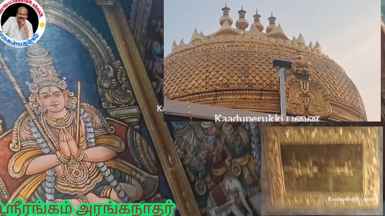 ஸ்ரீரங்கம்# அரங்கநாதர்# சொர்க்கவாசல்#