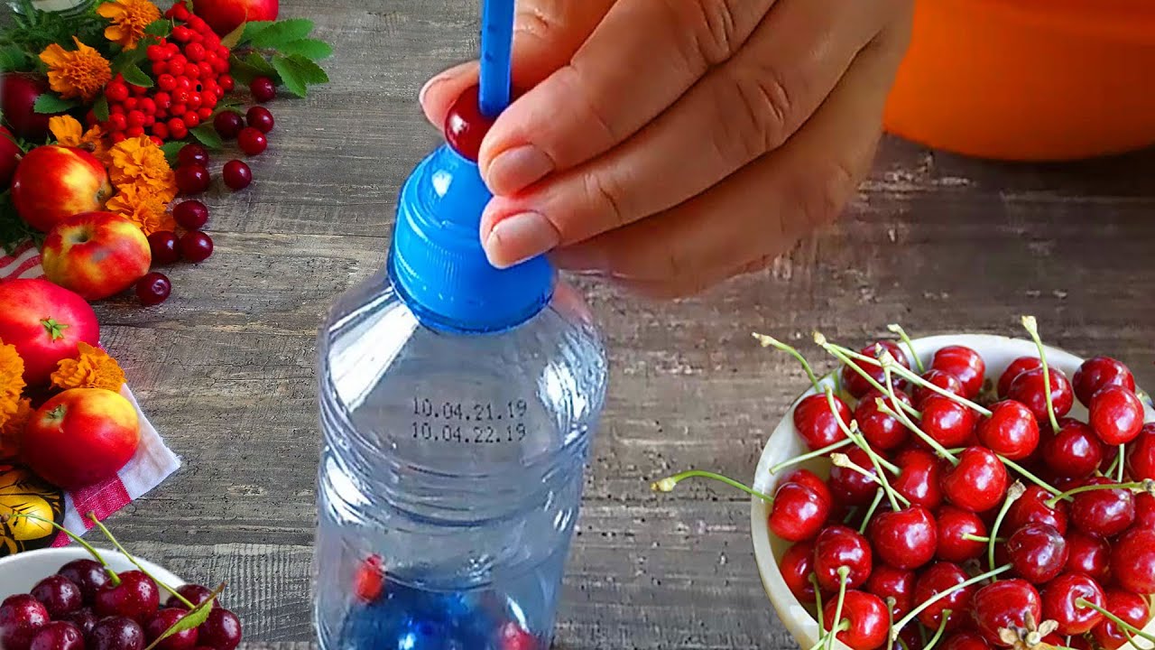Как удалить косточку из вишни | 8 способов удаления косточек
