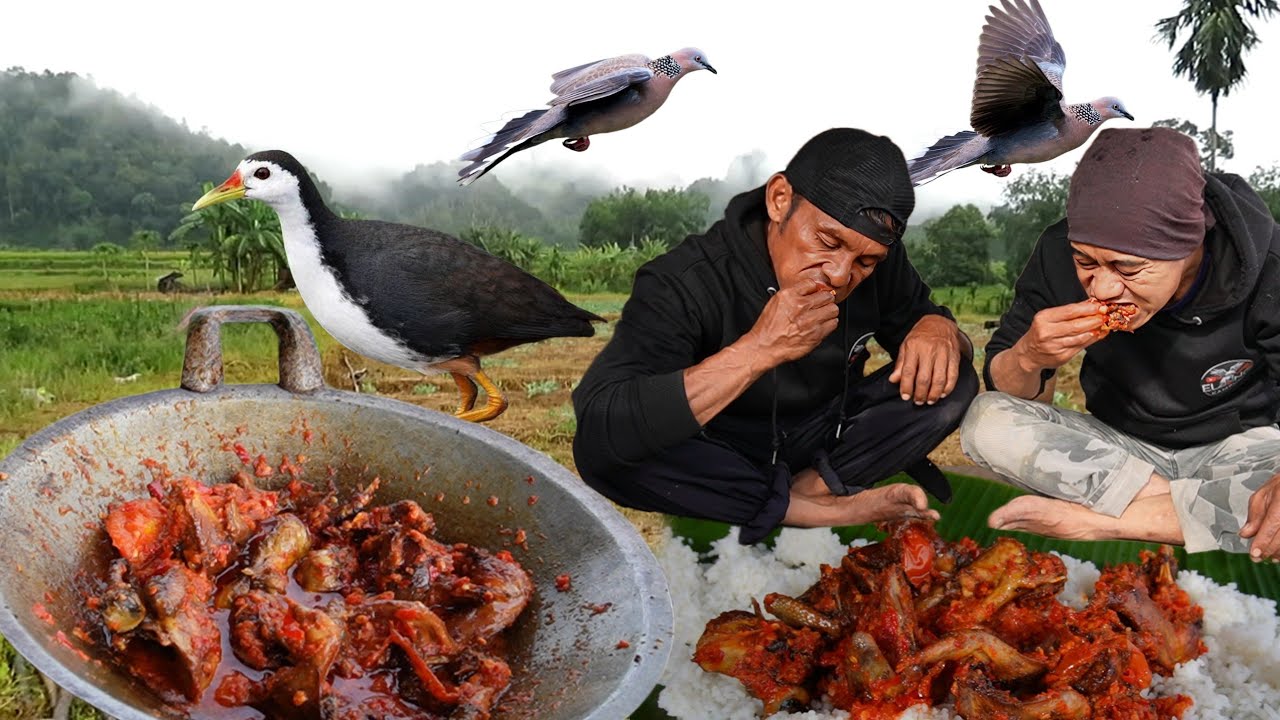 GURIHNYA DAGING BURUNG TEKUKUR DAN RUAK RUAK DI MASAK LOKASI BERBURU