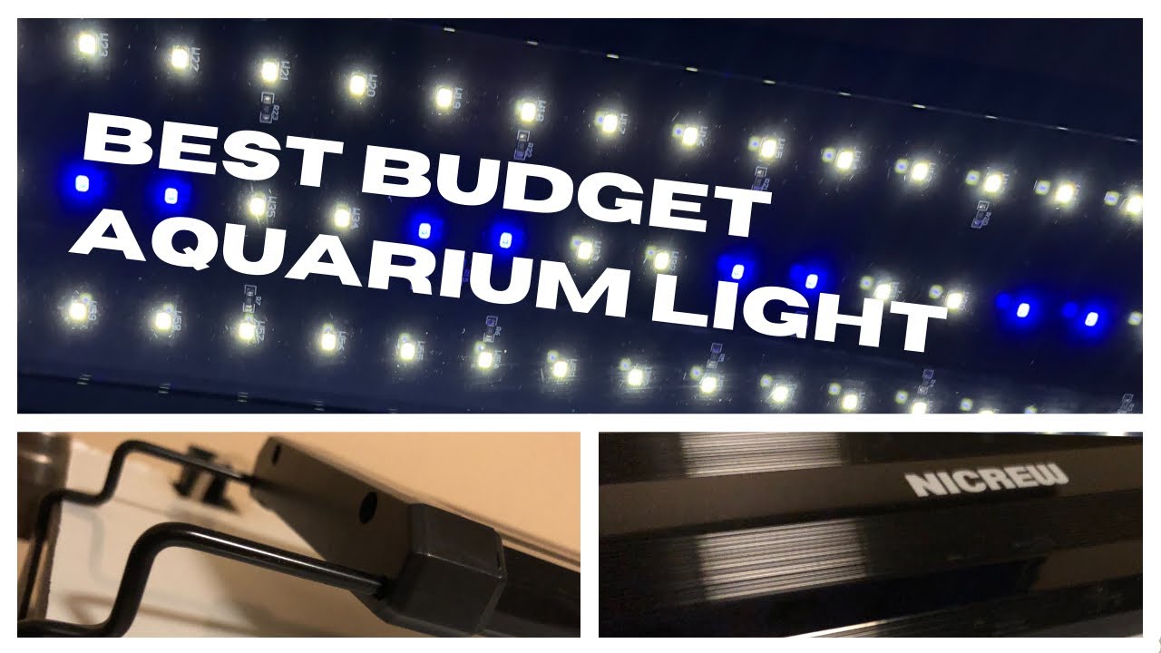 Nicrew LED Aquarium Light GREAT BUDGET LIGHT Unboxing and review | SL30 Unboxed | SL30 Aquatics
