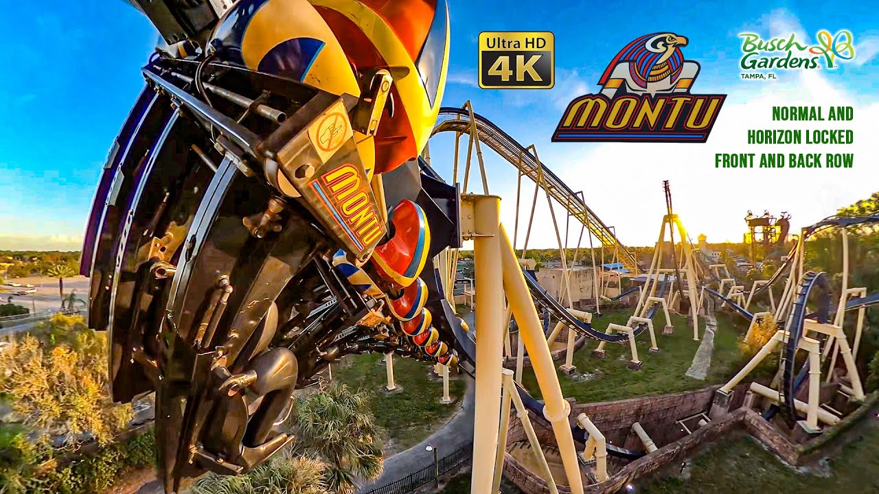 Montu Front, Back, Normal, and Horizon Locked On Ride 4K POV Busch Gardens Tampa 2021 03 02