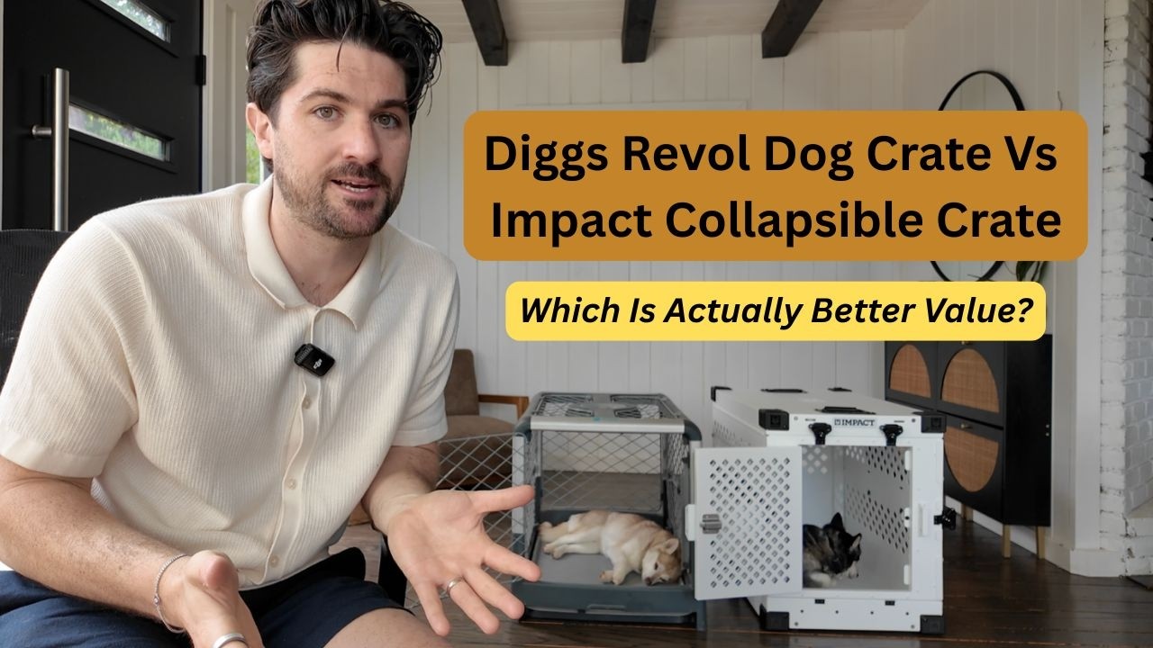 Diggs Revol против Impact Crate (2026): что из этого ДЕЙСТВИТЕЛЬНО стоит своих денег?
