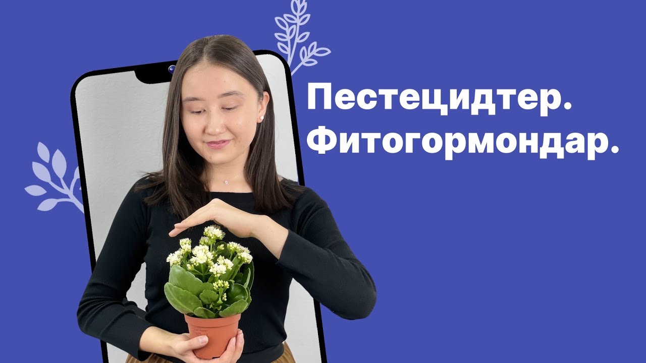 Пестецидтер. Фитогормондар. Биология ҰБТ