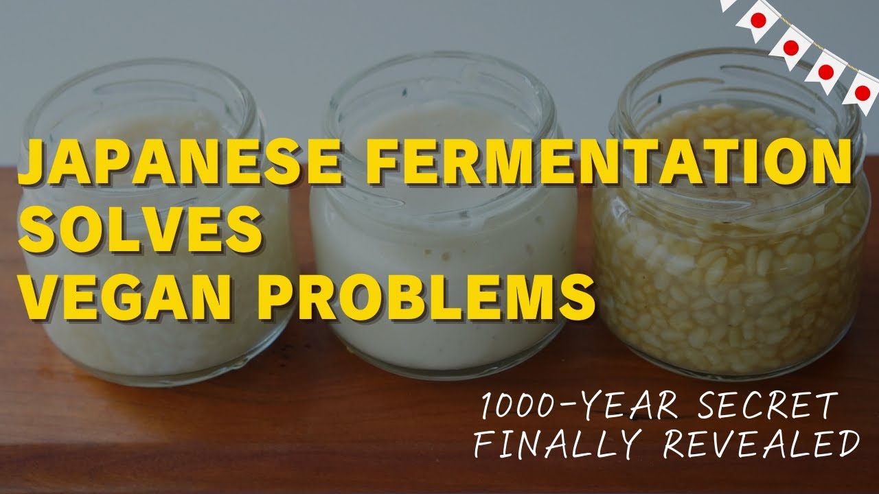 Warrior Protein: How Koji Fermentation Builds Physical and Spiritual Strength