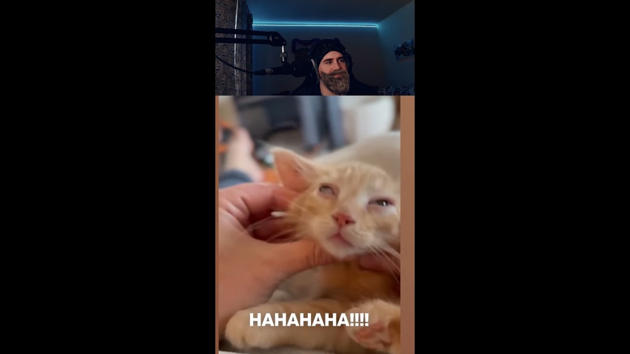 BEST Funny Try Not To Laugh Challenge Compilation 2