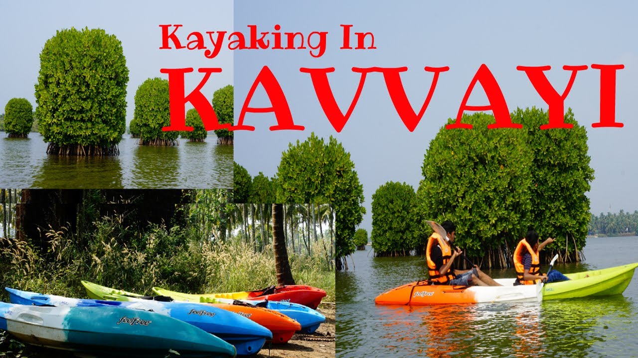 Kavvayi || Kayaking in Kavvayi backwaters
