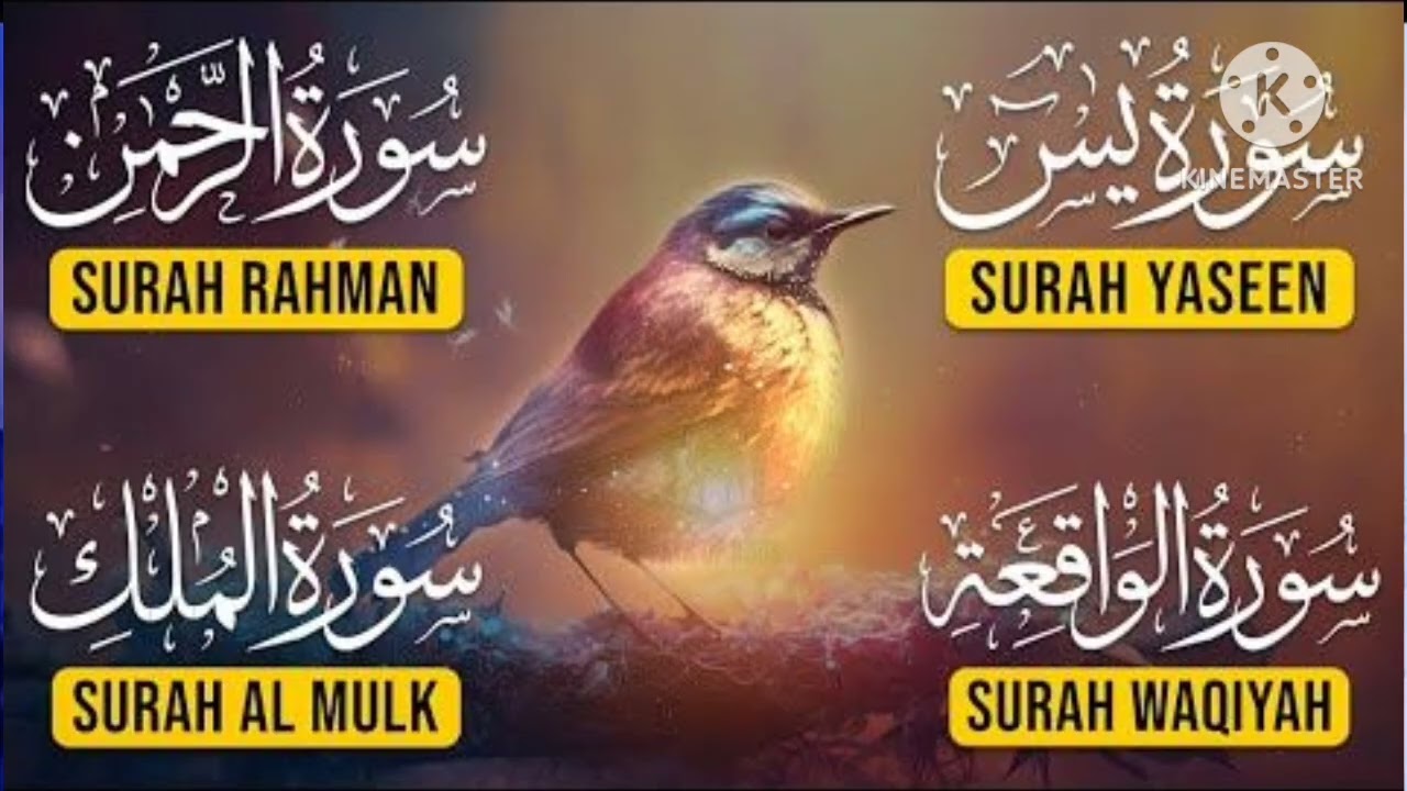 Surah Yaseen, Ar-Rahman, Al-Waqiah & Al-Mulk | Full Quran Recitation by Sheikh Abdul Rahman Al Sudai