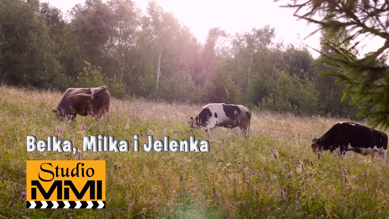 Belka, Milka i Jelenka