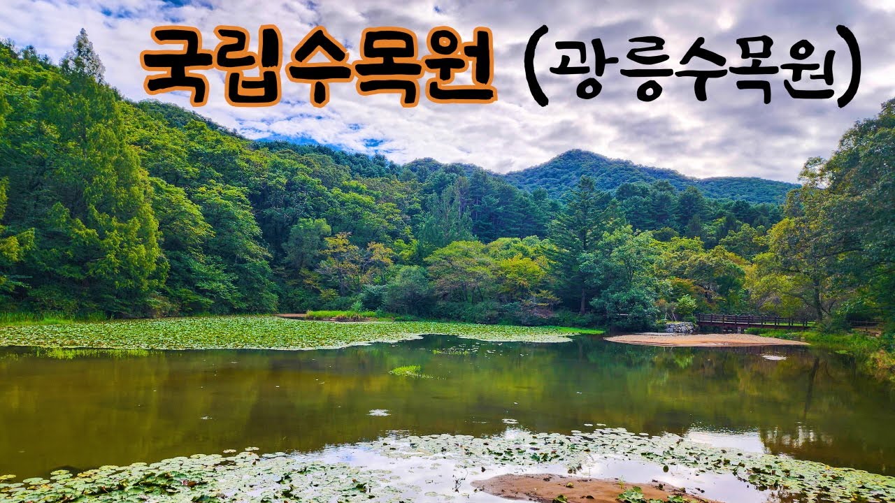 포천가볼만한곳 광릉 국립수목원