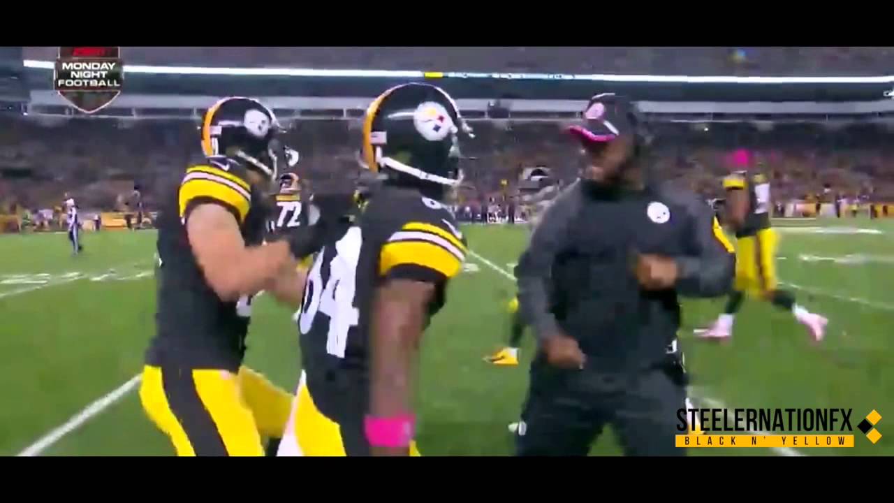 Pittsburgh Steelers Hype-Up Video 2015-2016 (Renegade)