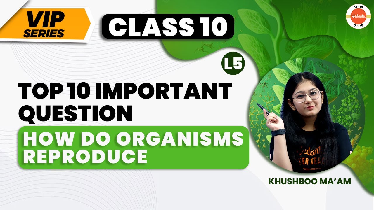 10 Important Questions of How do Organisms Reproduce | NCERT Class 10th Science (Biology) #CBSE2024