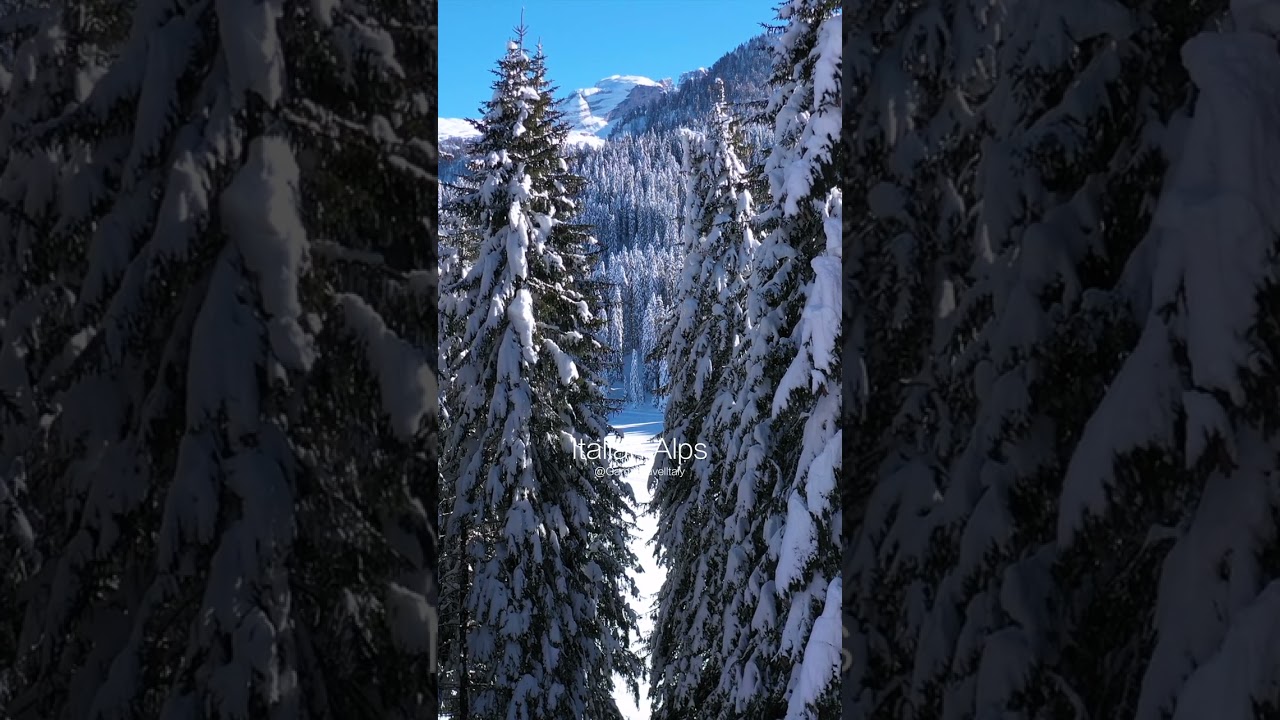 🇮🇹 Between Snowy Trees & Mountains | Italian Alps 4K Vertical Video