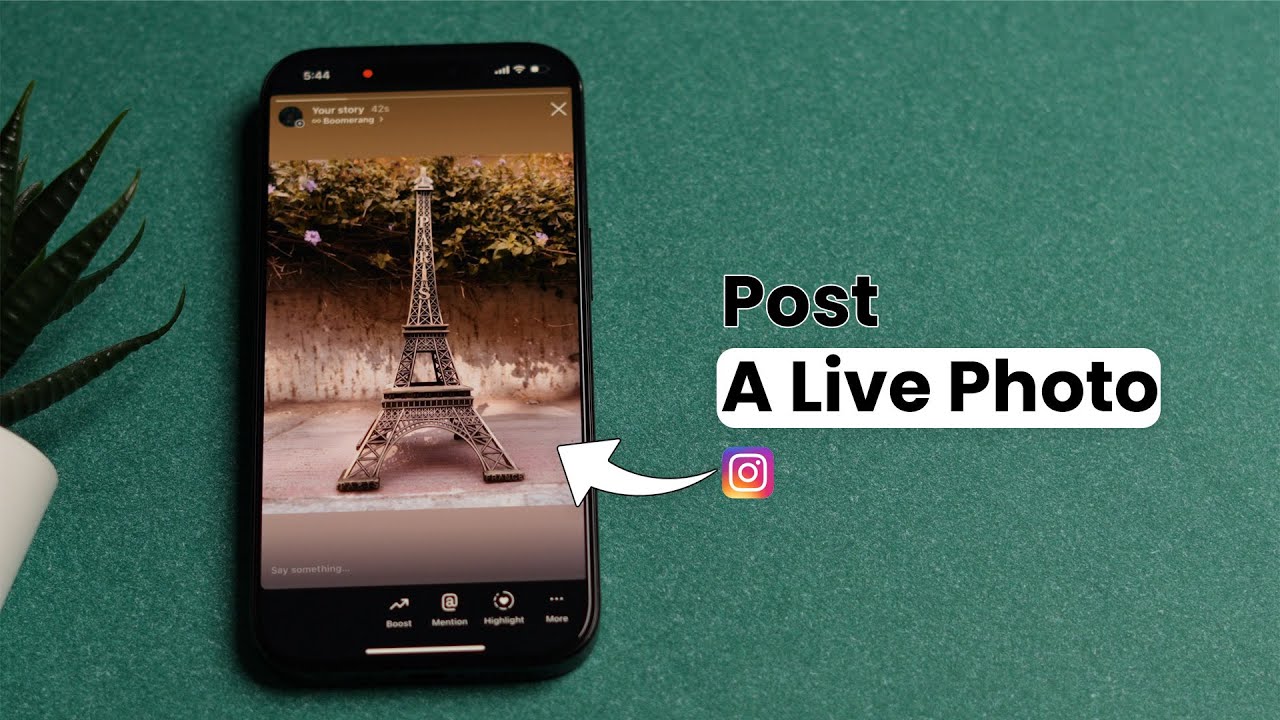 Как опубликовать живое фото в истории Instagram?