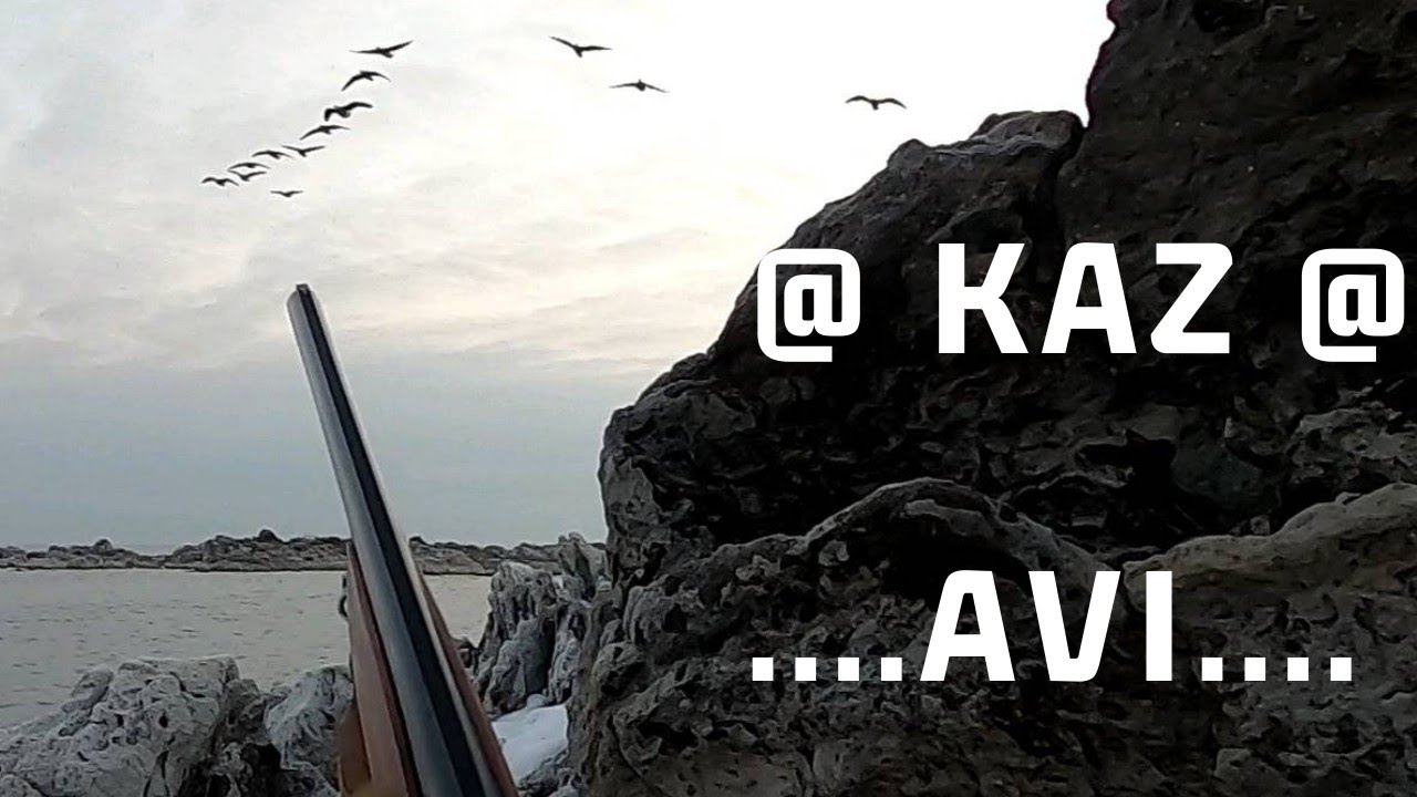 Kaz avı.&ouml;rdek avı,2022.chasse &agrave; l'oie,охота на гуся,G&auml;nsejagd,&kappa;&upsilon;&nu;ή&gamma;&iota; &chi;ή&nu;&alpha;&sigmaf;,شکار غاز,goose hunting