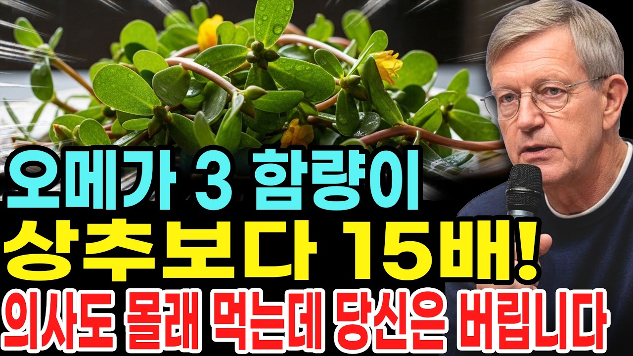 의사들도 몰래 먹는다는 이 나물은 보물입니다! 건강기능식품보다 백 배나 더 뛰어난데도, 당신은 여전히 그것을 제거하고 있습니다!