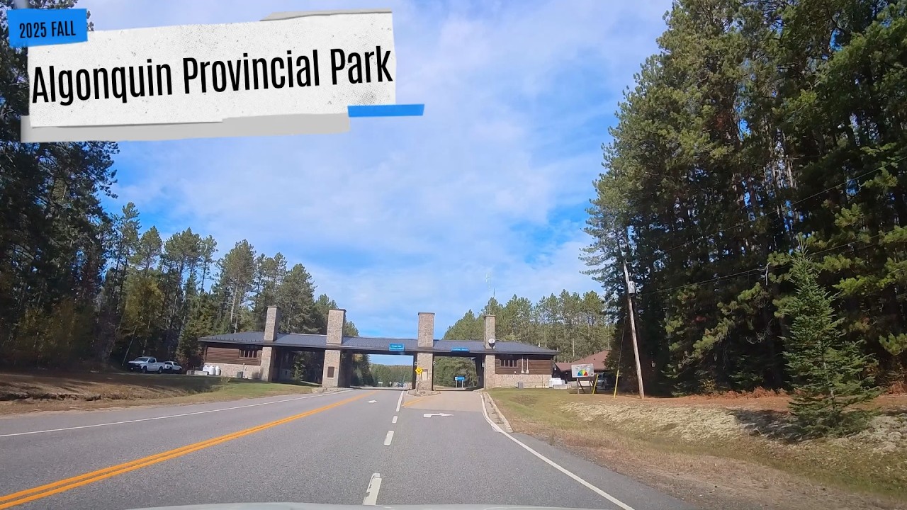 Algonquin Provincial Park Fall Colors 2025 🍁 Scenic Drive on Highway 60 | Ontario Autumn Road Trip