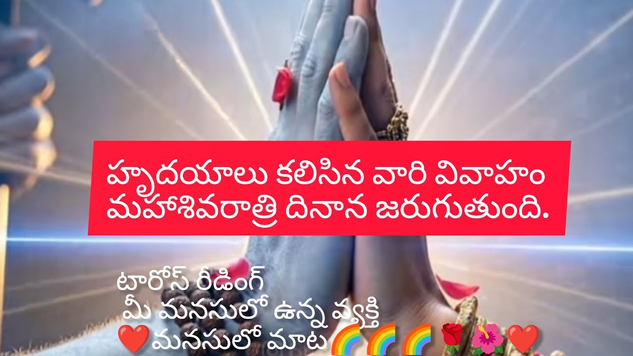టారోస్ రీడింగ్ మీ మనసులో ఉన్న వ్యక్తి ❤️మనసులో మాట🌈🌈🌈🌹🌺❤️#twinflamesunion #tarotreading #tarot 
