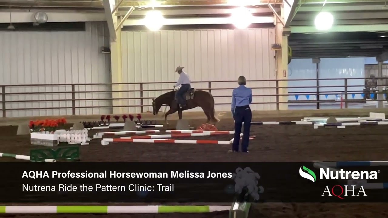 Nutrena Ride the Pattern: Trail