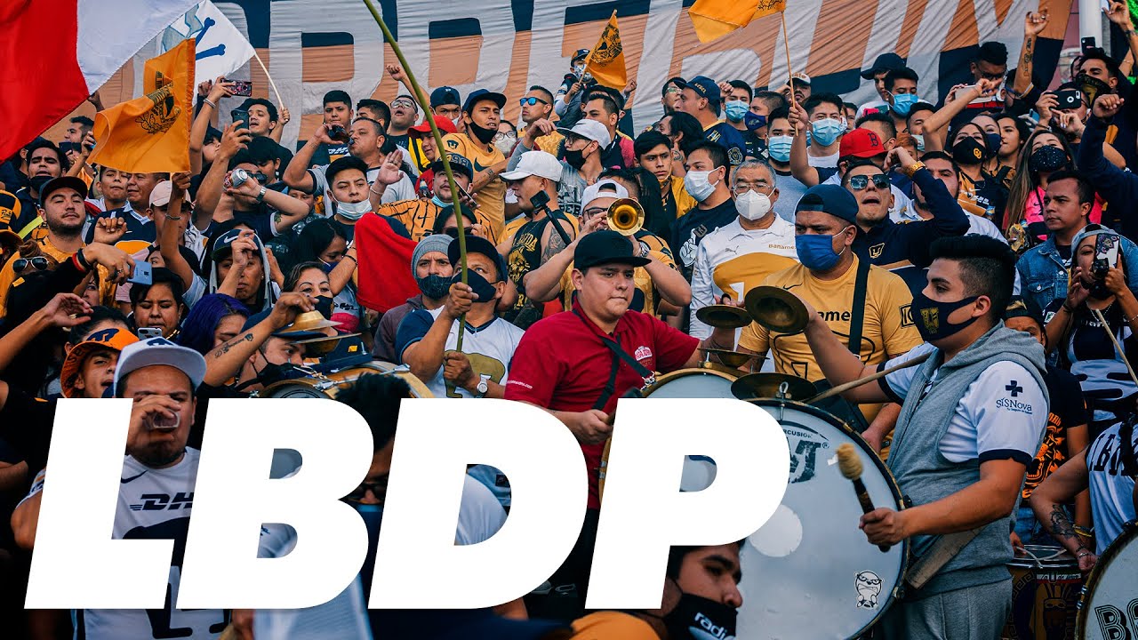 Recibimiento de la Rebel cantando LBDP