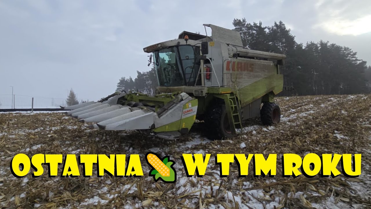 KOSZĘ OSTATNIĄ KUKURYDZĘ W ŚNIEGU🌽Agro Dni&oacute;wka #417