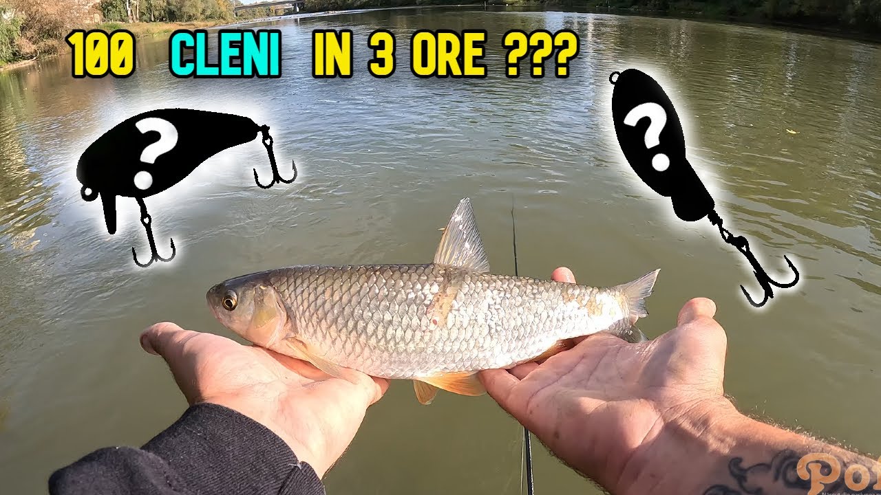 PESCUIT la CLEAN - 100 de cleni intr-o dupamasa???