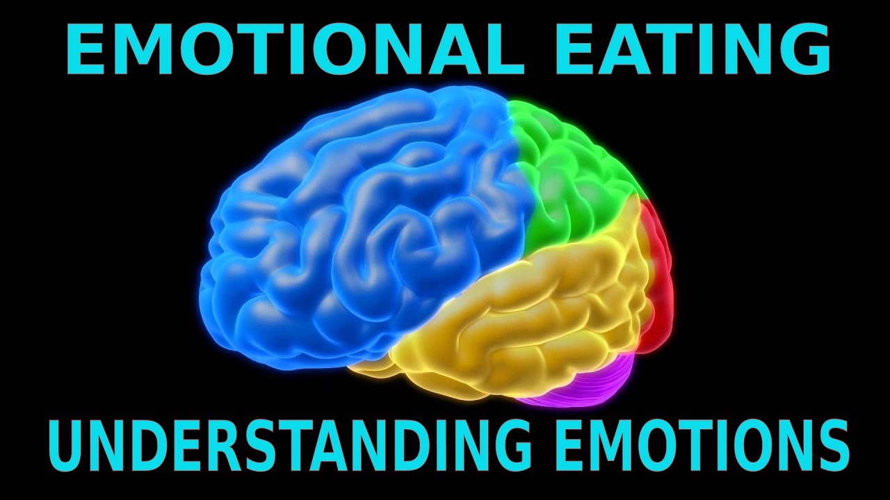 The Connection Between Emotions and Diet and Lifestyle Choices - Interview with Tim Van Orden