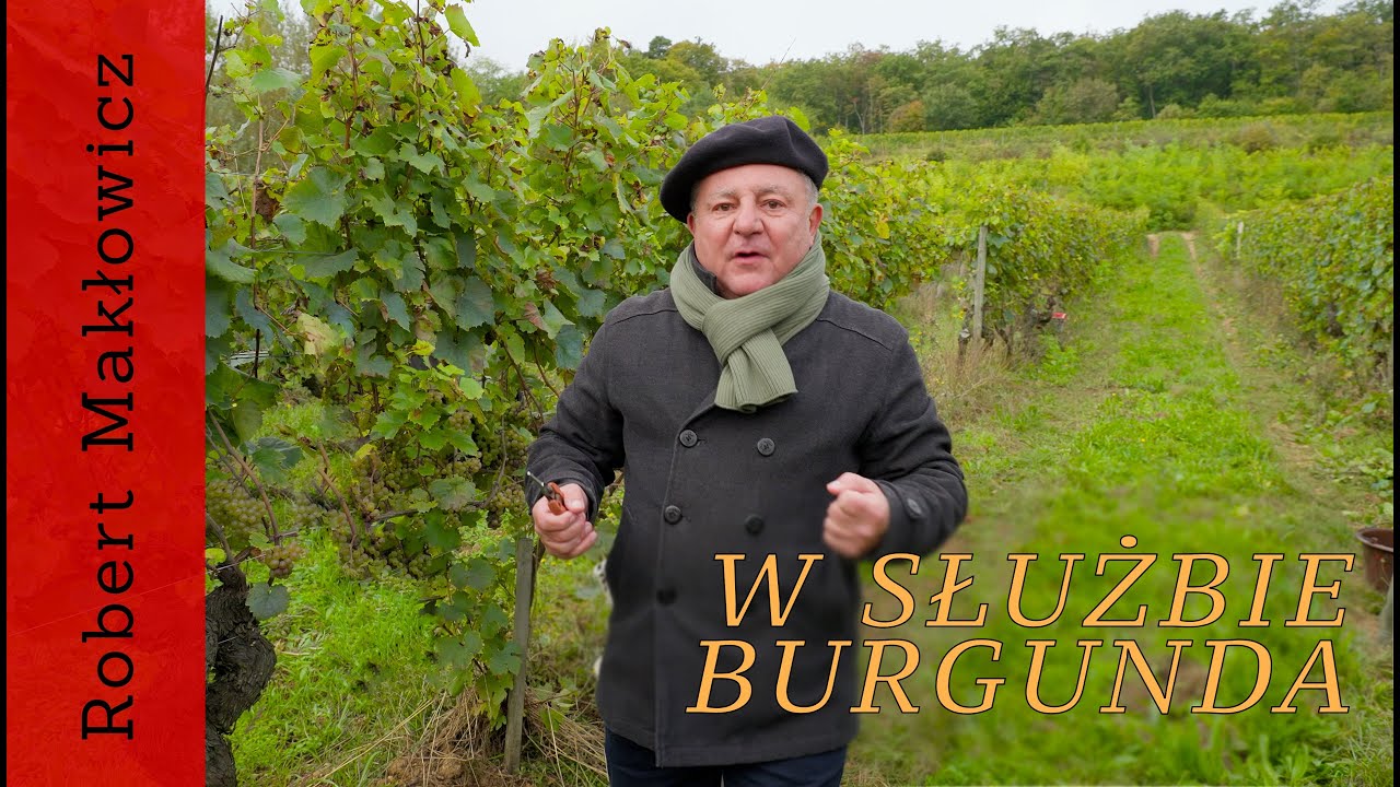 „W służbie burgunda