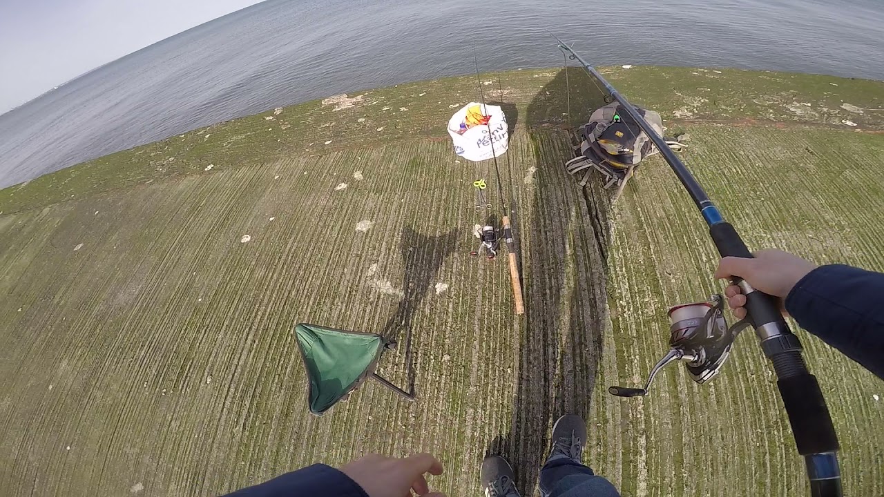 Seaham pier fishing 2021