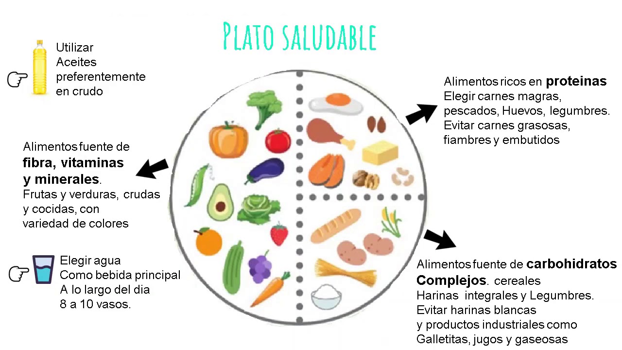 Plato saludable / para toda la familia