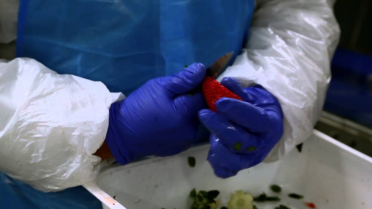 NICE FRUIT Presentation