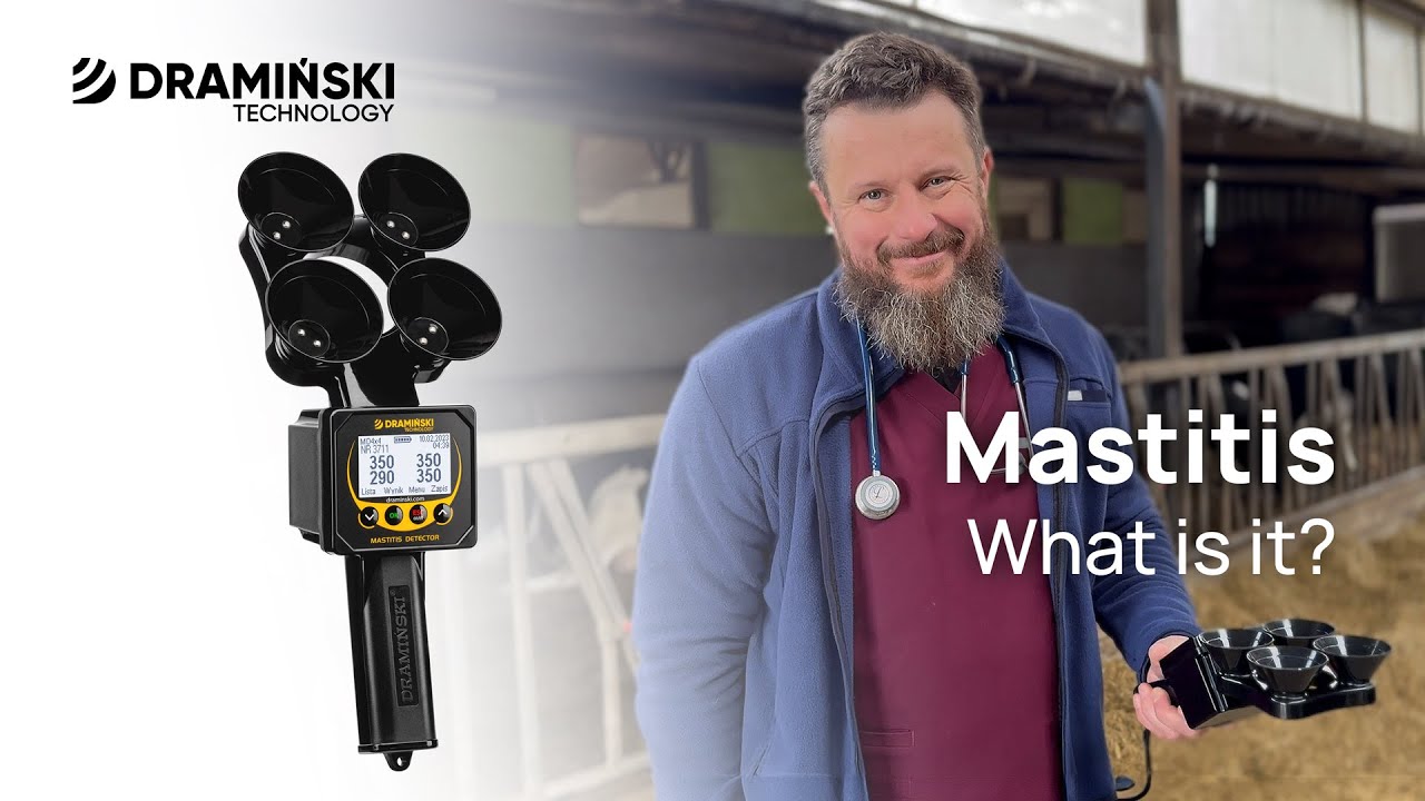 What is Mastitis? Explained by @cowdoctor.pl Michal Barczykowski
