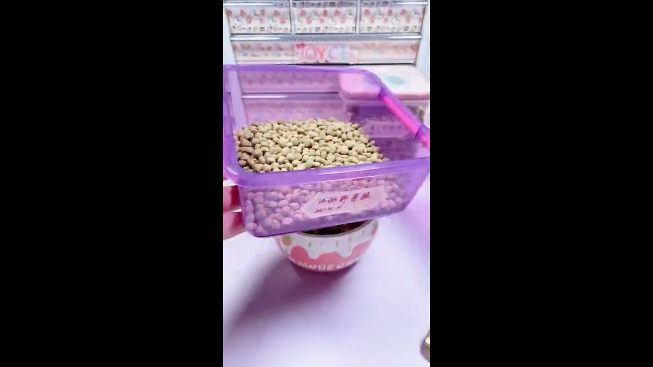 #仓鼠配粮 #joyce仓鼠 #养鼠日常分享 小二爷吃个饭还真是不容易【往期】