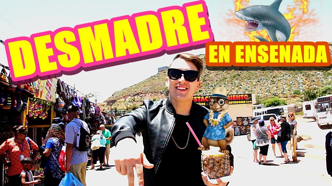 ¡CAZANDO TIBURONES Y ARDILLAS! | Franccesco