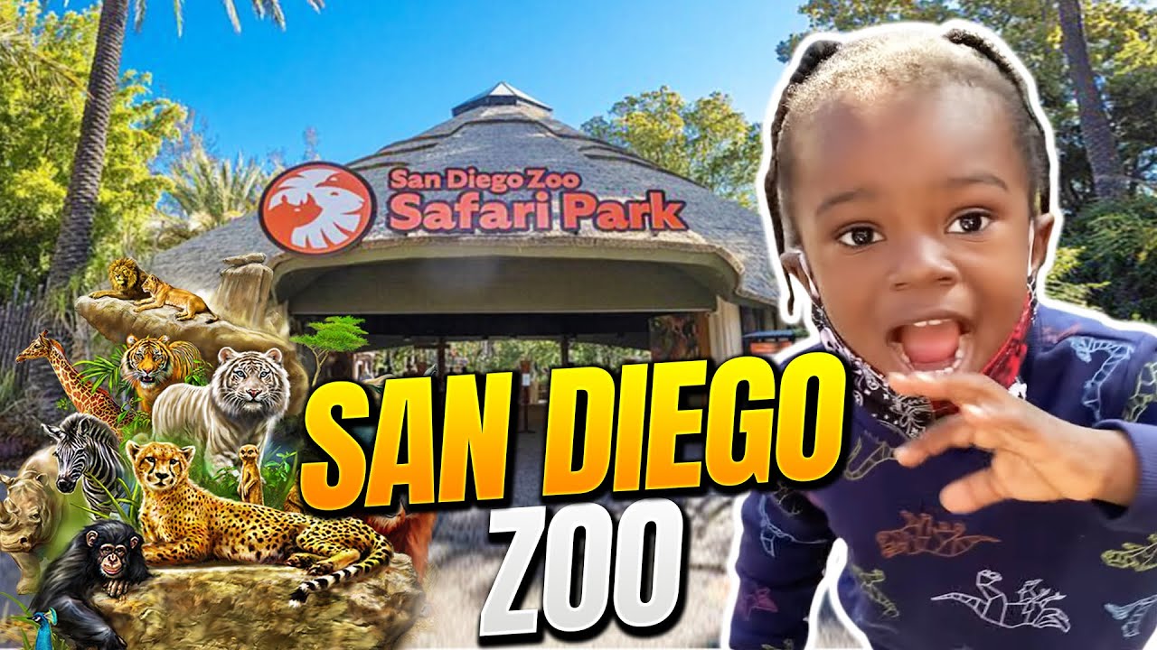Family Time at San Diego Zoo Safari Park | Fun Day Activities of the San Diego Zoo With CG3