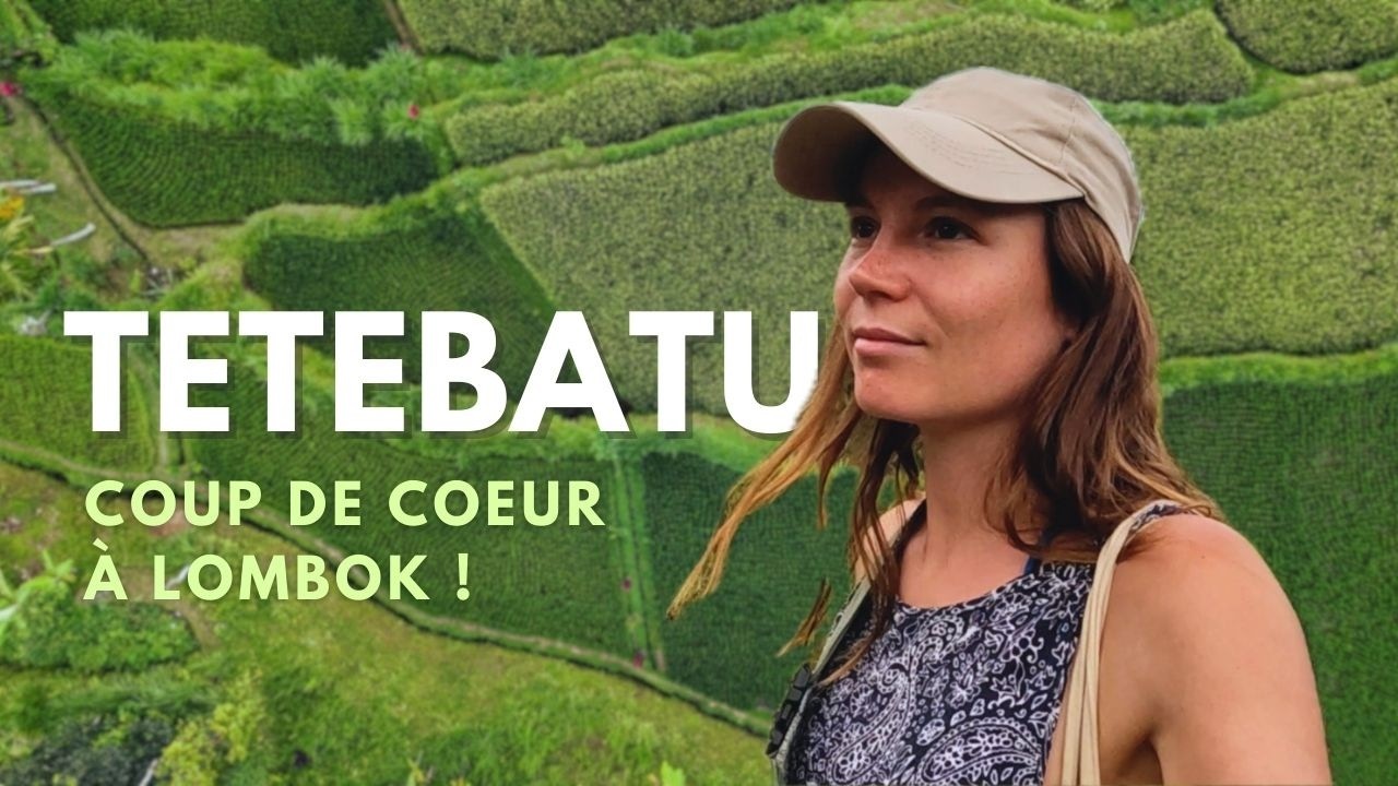 2 jours à explorer Tetebatu | Que faire en Indonésie ?