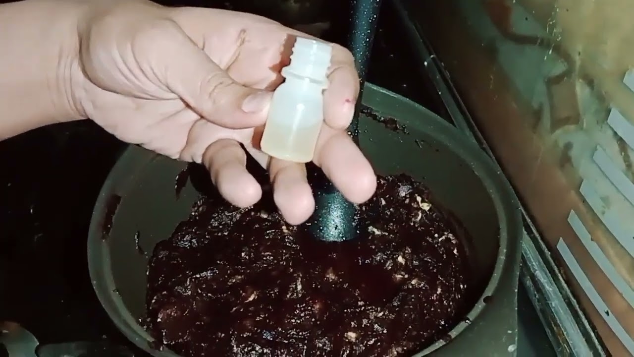 🍫✨ نوتيلا بيتي اقتصادية بـ3 مكونات بس!جربى الوصفة دى وهتعملى أحلى نوتيلا في البيت بنفس طعم الجاهزه😋😍
