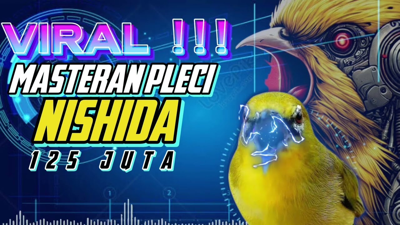 VIARL ‼️ MASTERAN PLECI NISHIDA 125 JUTA DENGAN MATERINYA YANG MANTAP #pleci #plecigacor