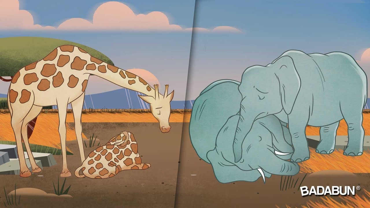 9 Animales que lloran cuando un familiar muêre