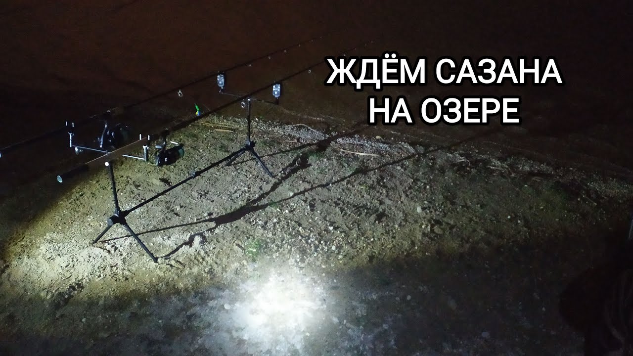 ЖДЁМ САЗАНА НА ОЗЕРЕ! VergunTV в прямом эфире!