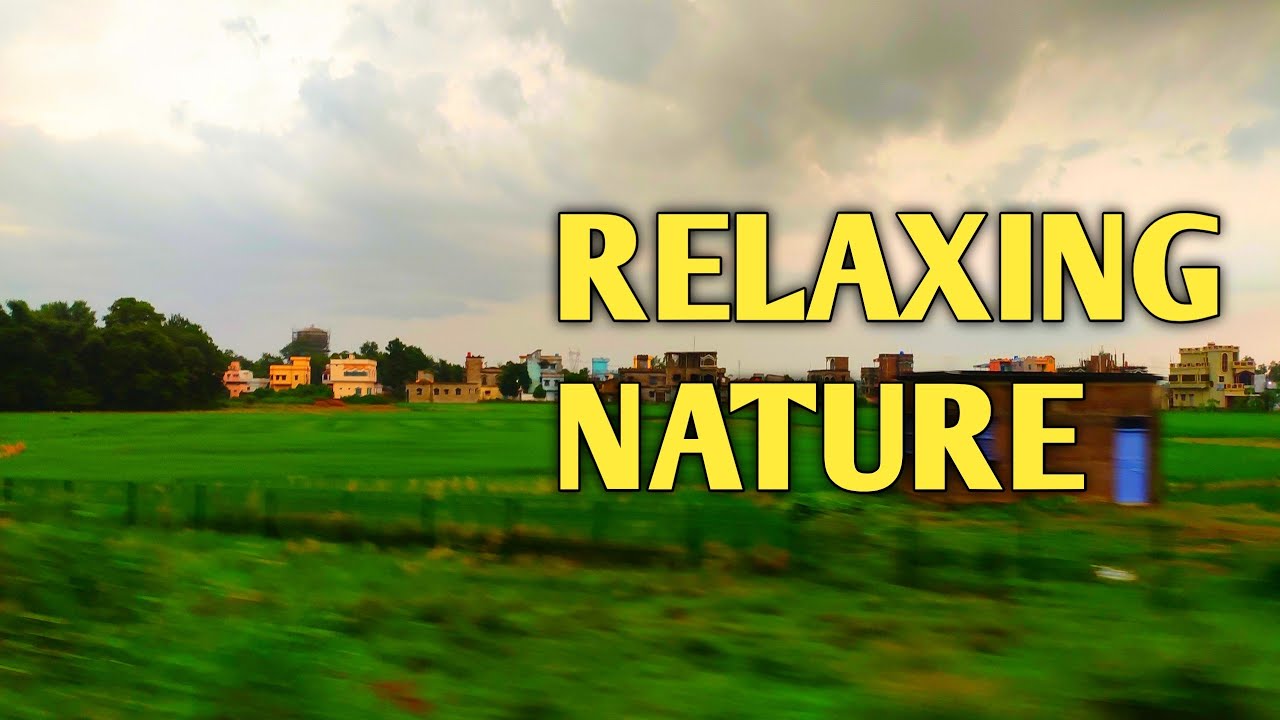 Relaxing music/ Natural beauty/ Relaxing moment
