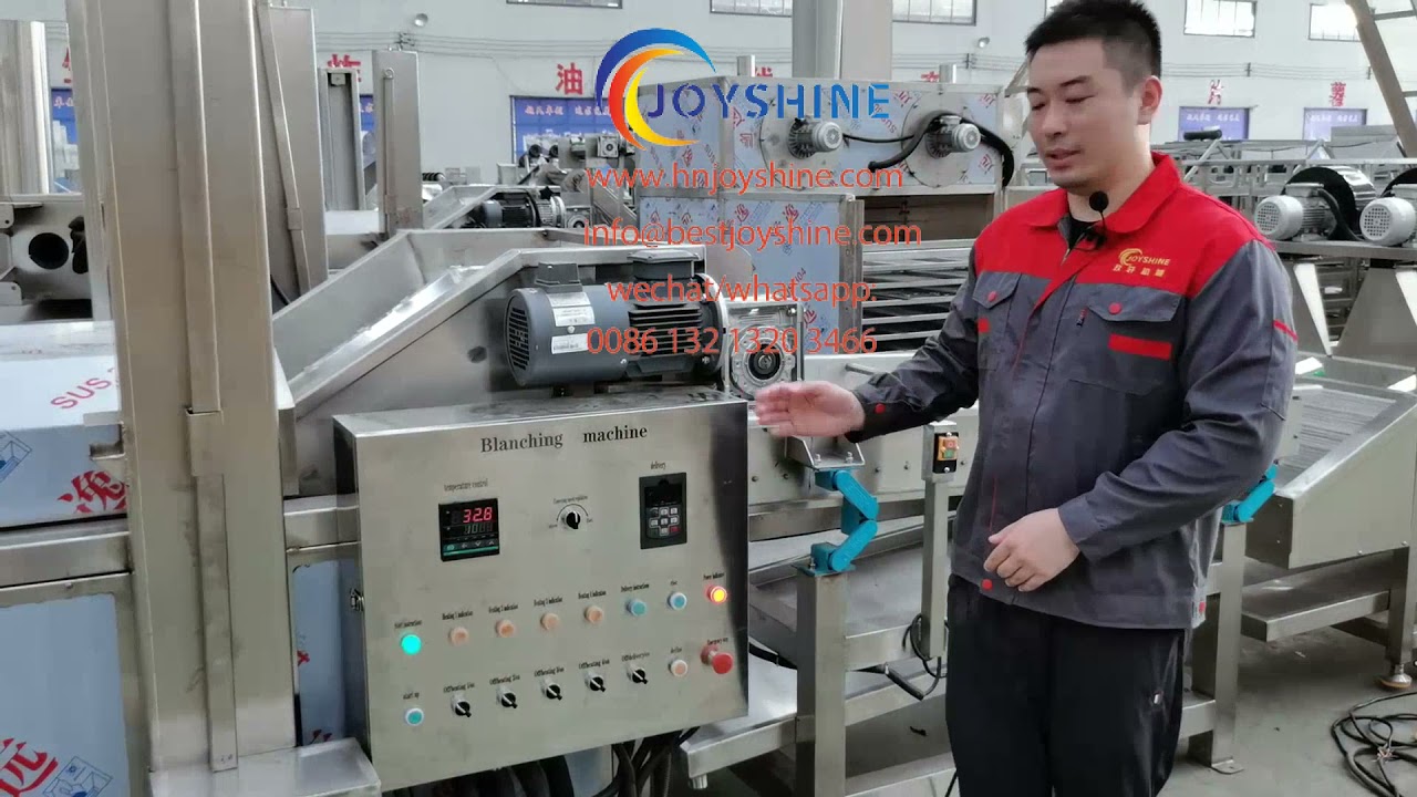 Introduction of vegetable blanching machine | potato chips blancher | french fries blancher for sale