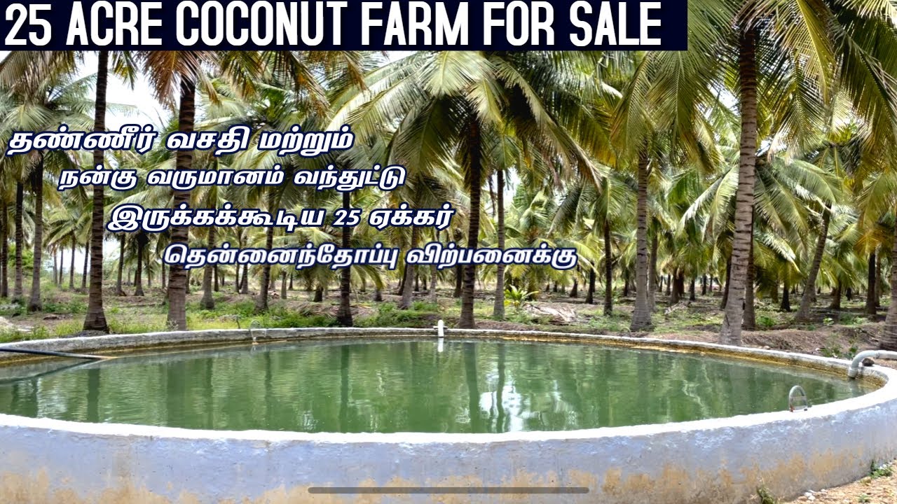 25 Acre Coconut Fram with Farm House for Sale| Good Income Good water source |25 ஏக்கர் விற்பனைக்கு