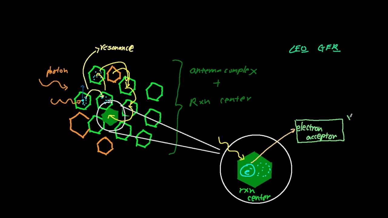 Photosynthesis: What are Photosystems? Resonance, Reaction Centers and Antenna Complex?