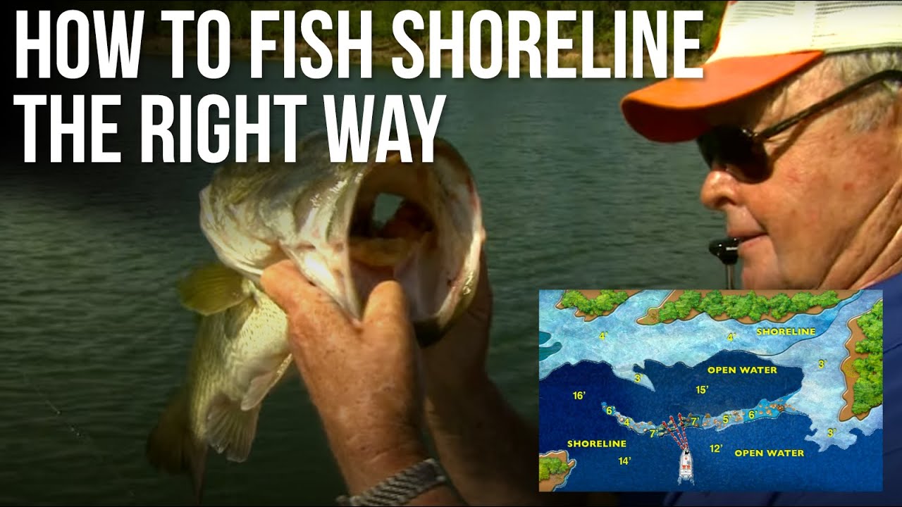 How to fish Shoreline the right way