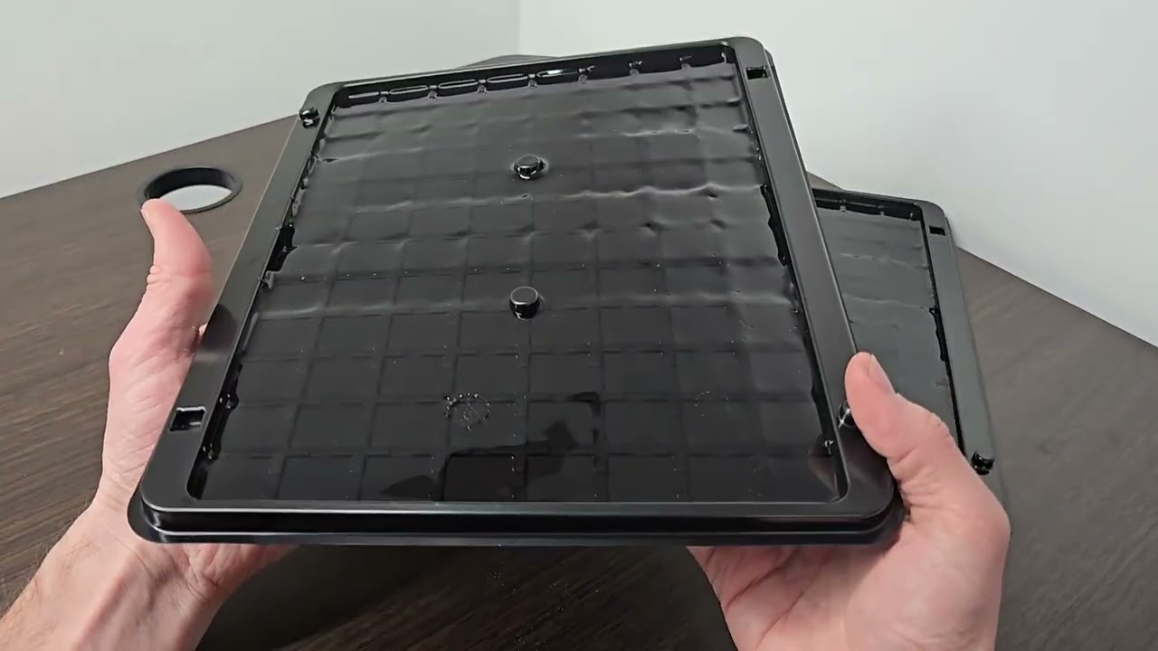 Jumbo Sticky Rat, Mouse, Snake, and Insect Traps That Work Well