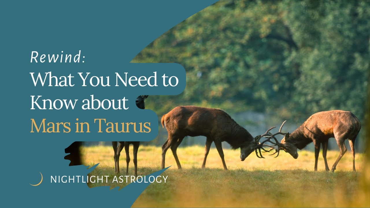 Rewind | What You Need to Know about Mars in Taurus