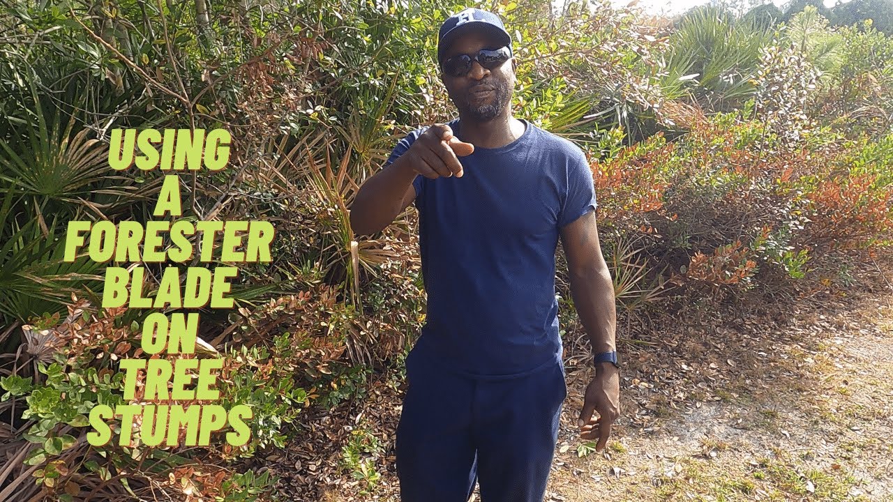 Using a forester blade to trim tree stumps